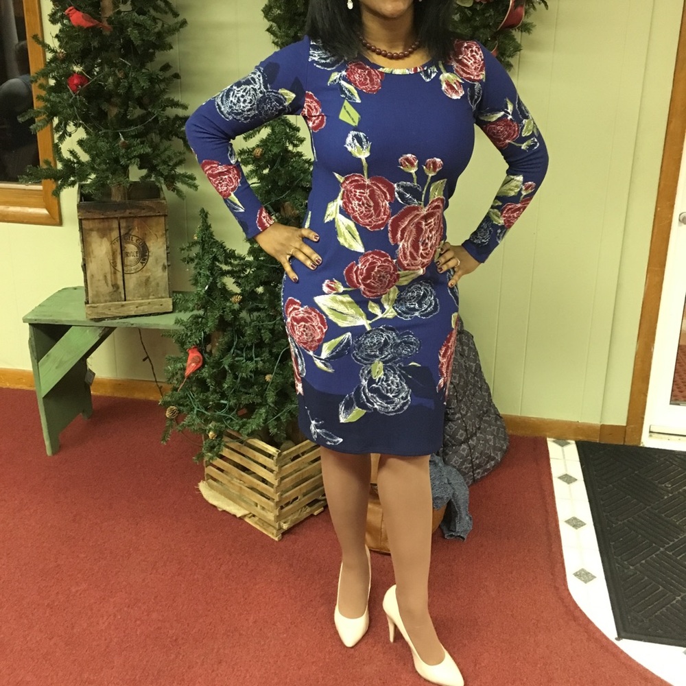 LuLaRoe Elegant Rose Debbie Dress